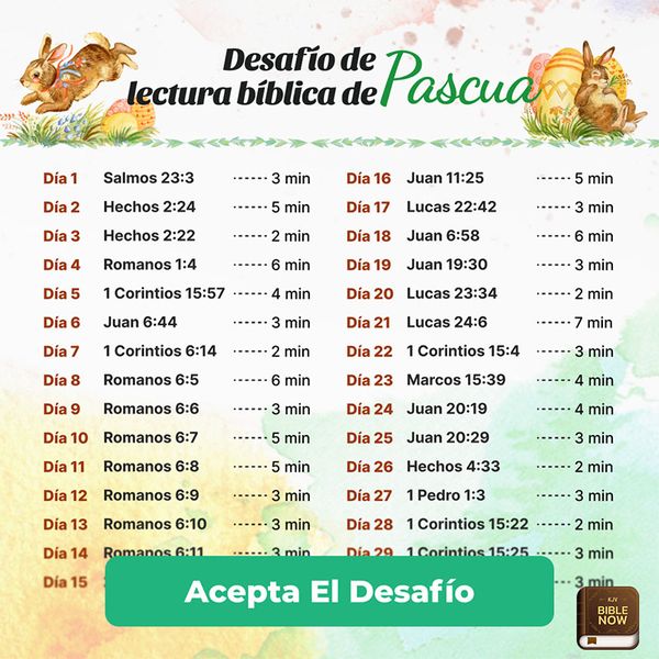 KJV Bible Now: Audio+Verse